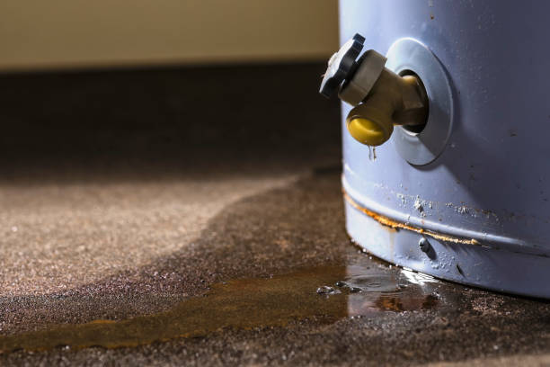 Best Water damage contractors near me  in Dublin, PA