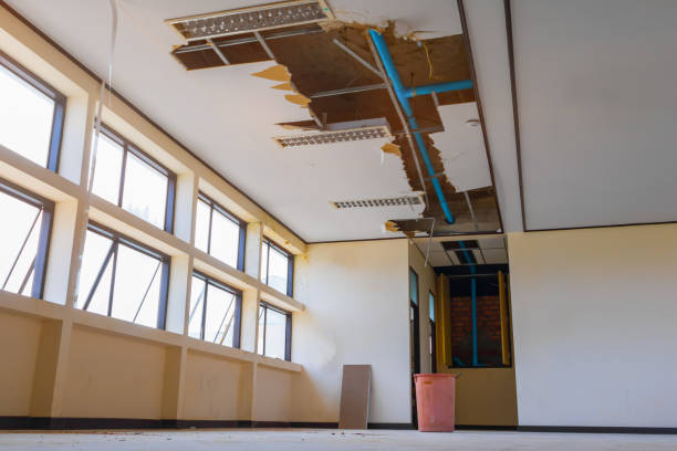Best Professional water damage repair  in Dublin, PA