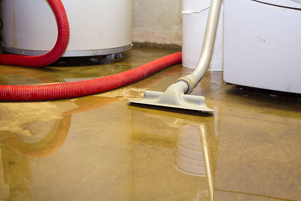 Best Flooded house restoration  in Dublin, PA