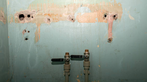 Best Basement water damage restoration  in Dublin, PA