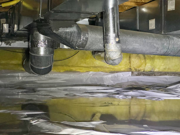 Best Flood damage cleanup  in Dublin, PA