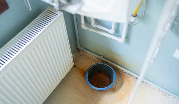 Best Carpet water damage restoration  in Dublin, PA