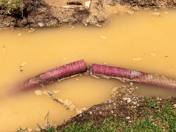 Best Mold removal after water damage  in Dublin, PA